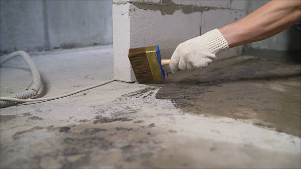 SJ Waterproofing Pros Waterproofing coverage map for Chesaning, MI and surrounding area